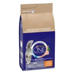 Purina ONE Adult Chicken & Whole Grains Dry Cat Food -Meow Mart 07613035025233 c1l1 44167730 0