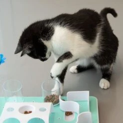 Slo-Mo Cat Toy 12 Slo-Mo Cat Toy -Meow Mart 110a75 1 8