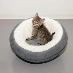 Ellora Cat Den -Meow Mart 116107 und katze fg 5030 9