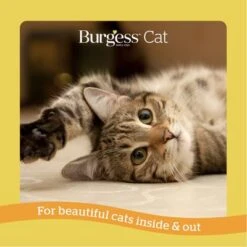 Burgess Adult Cat Rich In Chicken With Duck -Meow Mart 1624624427220 4 4