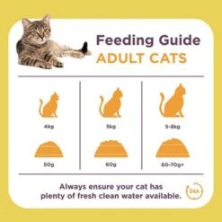 Burgess Adult Cat Rich In Chicken With Duck -Meow Mart 1624624428002 1 4