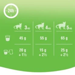 Kitekat Adult Dry Cat Food – Chicken And Vegetable -Meow Mart 164398 marspl kitekat dryadult chickenvegetables hs 04 3