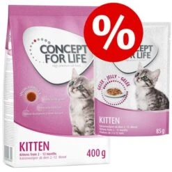 400g Concept For Life Dry Kitten Food + 12 X 85g Wet Food - Special Price!*