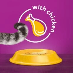 Whiskas 1+ Chicken 16 Whiskas 1+ Chicken -Meow Mart 1 5900951014352 si06 uk 5