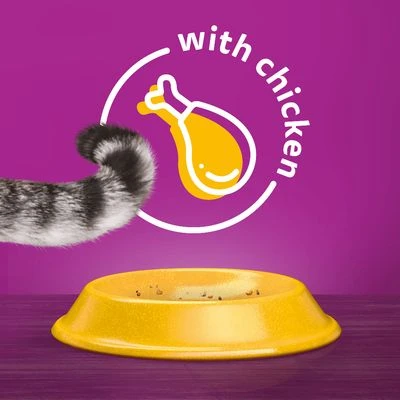 Whiskas 1+ Chicken 9 Whiskas 1+ Chicken - Image 7