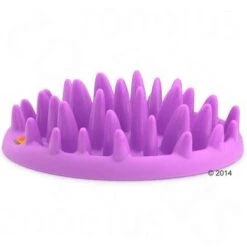 NORTHMATE ® Catch Cat Feeder 11 NORTHMATE ® Catch Cat Feeder -Meow Mart 1 63169 karlie northmate catch 01 7