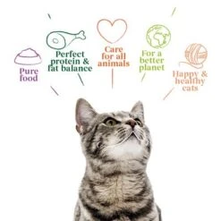 Yarrah Organic Fillets In Sauce 14 X 85g -Meow Mart 1 8136 cat pouch chicken 85g 8714265000829 2 3