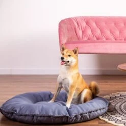 Cape Town 2-in-1 Cat Bed -Meow Mart 203436 geop katzenbett kapstadt 2in1 hs 01 1