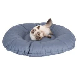 Cape Town 2-in-1 Cat Bed -Meow Mart 203436 kapstadt und katze fg 9820 4