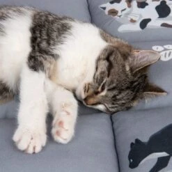 Cat Cushion Medley -Meow Mart 233899 katzenkissen medley fg 9770 3