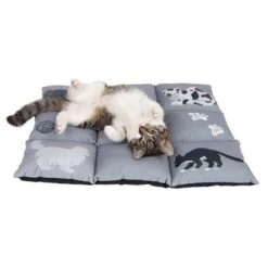 Cat Cushion Medley -Meow Mart 233899 katzenkissen medley fg 9775 0