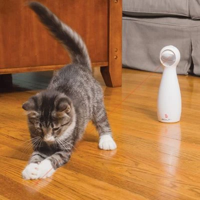 PetSafe® FroliCat® Bolt Laser Cat Toy 4 PetSafe® FroliCat® Bolt Laser Cat Toy - Image 2