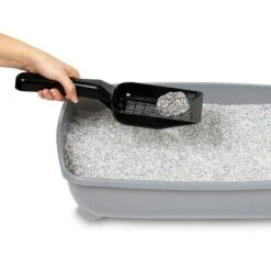 Ever Clean® Spring Garden Clumping Cat Litter -Meow Mart 287598 pla everclean spring garden klumpstreu 10l hs 06 4