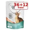 48 X 85g Concept For Life Wet Cat Food – 36 + 12 Free!* -Meow Mart 288374 pla concept for life sterlisedcats salmon gelee 85g 9 1 1
