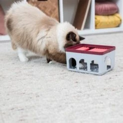 Trixie Cat Activity Rod Box 16 Trixie Cat Activity Rod Box -Meow Mart 332214 trixie cat activity rod box hs 09 1