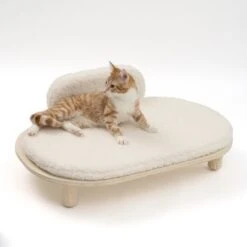 Modern Living Sofa Osaka 17 Modern Living Sofa Osaka -Meow Mart 342803 modern living osaka katze 0629 4