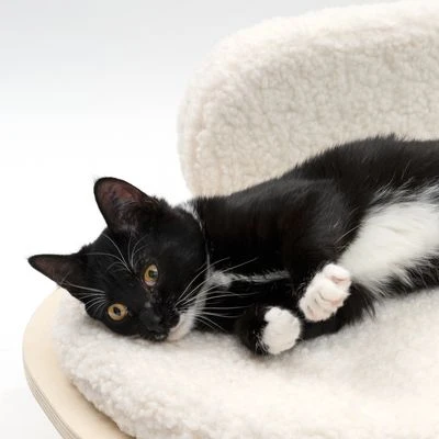 Modern Living Sofa Osaka 7 Modern Living Sofa Osaka - Image 5