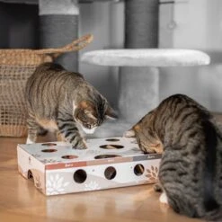 CanadianCat Company Intelligence Toy MagicBox -Meow Mart 346599 canadiancat company intelligenzspielzeug magicbox hs 13 9