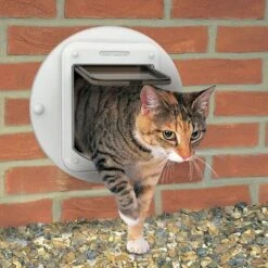 Cat Mate Microchip Cat Flap (360W) -Meow Mart 361 wall fitting 06 2014 6