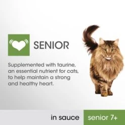 Front Page -Meow Mart 363328 si01 f b uk 2