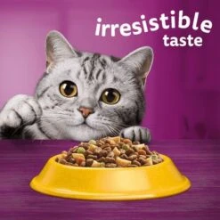 Whiskas 1+ Chicken 17 Whiskas 1+ Chicken -Meow Mart 5900951014352 si02 uk 4