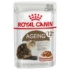 Royal Canin Ageing 12+ In Gravy -Meow Mart 61275 pla royalcanin ageing 12 sosse 1