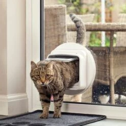 SureFlap DualScan Microchip Cat Flap -Meow Mart 62267 sureflap mikrochip katzenklappe hs 05 3