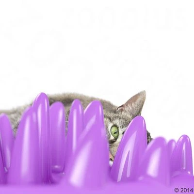 NORTHMATE ® Catch Cat Feeder 7 NORTHMATE ® Catch Cat Feeder - Image 5