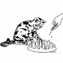 NORTHMATE ® Catch Cat Feeder 14 NORTHMATE ® Catch Cat Feeder -Meow Mart 63169 karlie northmate catch zeichnung 0