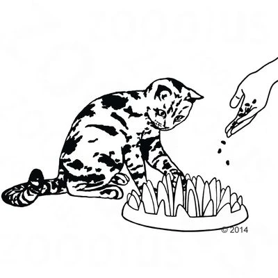 NORTHMATE ® Catch Cat Feeder 8 NORTHMATE ® Catch Cat Feeder - Image 6