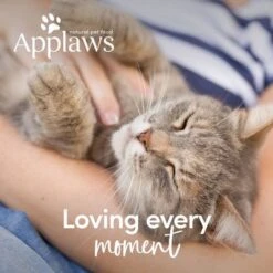 Applaws Senior Cat Food -Meow Mart 64847 64768 applaws senior huhn hs 8 1 4