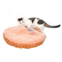 Funny Ball Cat Toy 13 Funny Ball Cat Toy -Meow Mart 67336 sincerepet funny ball fg 7795 4