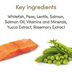 Applaws Cat Food Economy Packs -Meow Mart 71009 applaws adult meeresfisch lachs hs 02 5