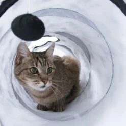 Pawty Cat Tunnel -Meow Mart 73429 katzentunnel pawty katze fg 0907 0