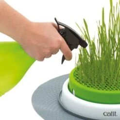 Catit Senses 2.0 Grass Planter -Meow Mart 73855 hagen catitsenses2 0 grastopf hs 05 8