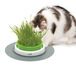 Catit Senses 2.0 Grass Planter -Meow Mart 73855 hagen catitsenses2 0 grastopf hs 07 5