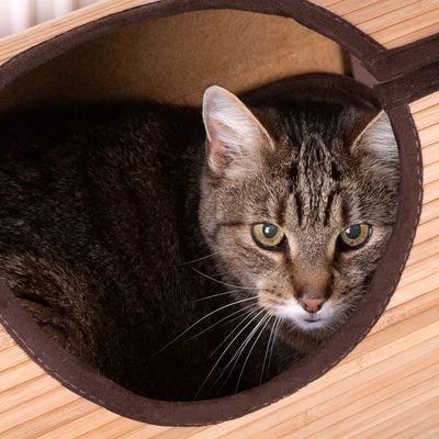 Natural Retreat Radiator Cat Bed 8 Natural Retreat Radiator Cat Bed - Image 6