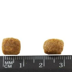 Purina ONE Senior +11 Chicken -Meow Mart 81611 purinaone senior 11huhn 1 5kg hs 03 2