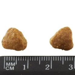 Purina ONE Sterilised Turkey 12 Purina ONE Sterilised Turkey -Meow Mart 81620 purinaone sterilized truthahn 3kg hs 03 1