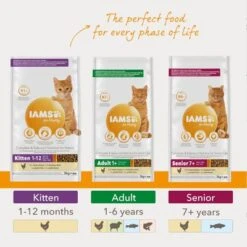 IAMS For Vitality Adult Fresh Chicken Dry Cat Food 12 IAMS For Vitality Adult Fresh Chicken Dry Cat Food -Meow Mart 8710255126029 a 1