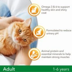 IAMS For Vitality Adult Lamb Dry Cat Food 13 IAMS For Vitality Adult Lamb Dry Cat Food -Meow Mart 8710255127200 4