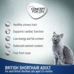 Concept For Life British Shorthair Adult - In Ragout -Meow Mart cfl cat wet board british shorthair adult 6