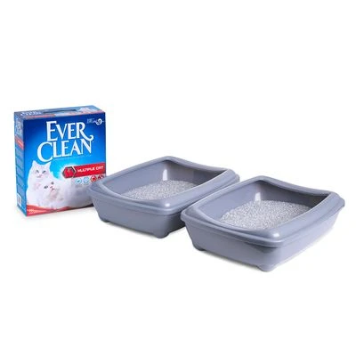 Ever Clean® Multiple Cat Clumping Cat Litter 6 Ever Clean® Multiple Cat Clumping Cat Litter - Image 4