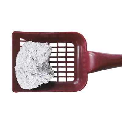 Golden White 4 Golden White - Image 2