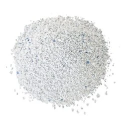 Golden White 7 Golden White -Meow Mart goldengrey white streu 3