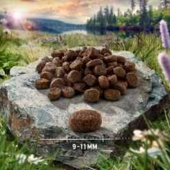 2 X 6.5kg Purizon Dry Cat Food - €10 Off!* -Meow Mart purizon car adult boar chicken 9 11 mm p4 6