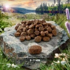 Purizon Adult Grain-Free Dry Cat Food Mixed Trial Pack 15 Purizon Adult Grain-Free Dry Cat Food Mixed Trial Pack -Meow Mart purizon cat adult chicken fish 9 11 mm p4 6 1