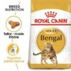 Royal Canin Bengal Adult -Meow Mart rc fbn bengal mv eretailkit 3
