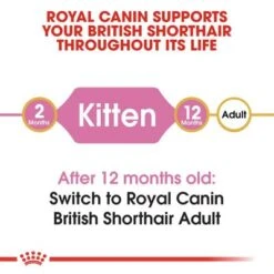 Royal Canin British Shorthair Kitten -Meow Mart rc fbn kittenbritishshorthair cv1 001 uk english 9