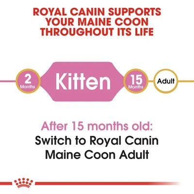 Royal Canin Maine Coon Kitten 7 Royal Canin Maine Coon Kitten - Image 5
